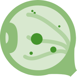 A green eyeball icon with spots