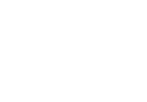 The Pearle Vision logo